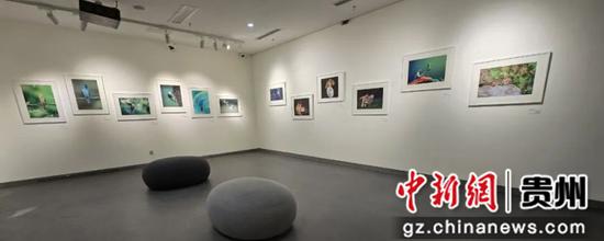 图为展览现场。