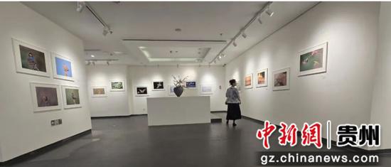 图为展览现场。