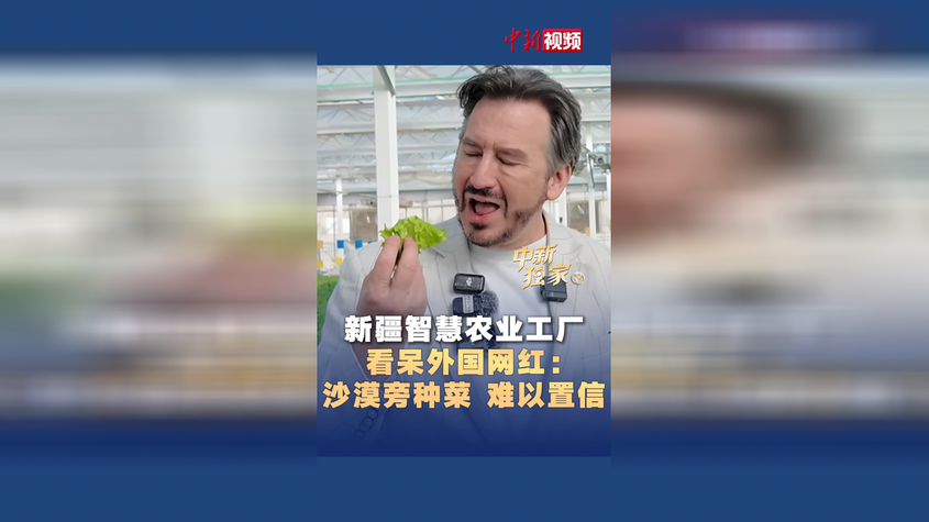 新疆智慧农业工厂看呆外国网红：沙漠旁种菜，难以置信！