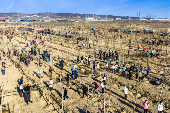 10月17日，在克拉玛依市2026年秋季集中义务植树活动现场，干部群众携手挥锹培土、栽植苗木，为戈壁油城添新绿。克拉玛依融媒记者 闵勇 摄e