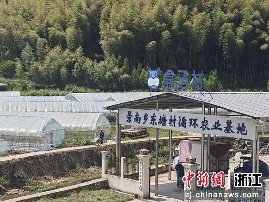景南乡东塘村循环农业基地。丽水管理中心&nbsp;供图