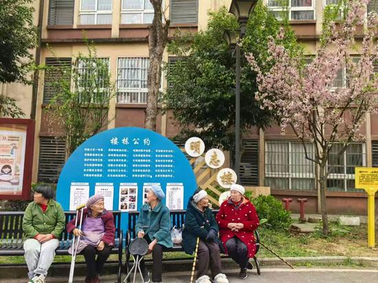 苍龙街道凤凰社区楼栋公约牌