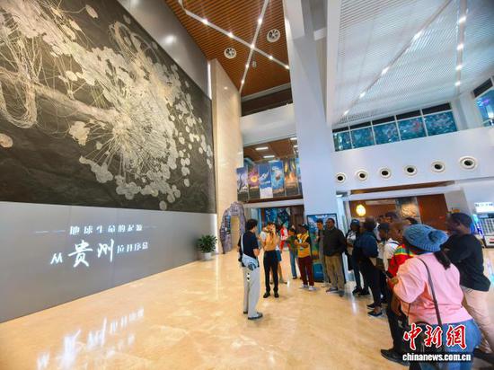 10月20日，来自非洲法语国家等的记者、编辑赴贵州省贵阳市参访，图为嘉宾参访贵州省地质博物馆。记者张伟摄