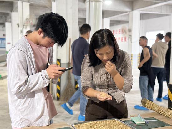 参训人员实地参观制曲车间、进行实操培训
