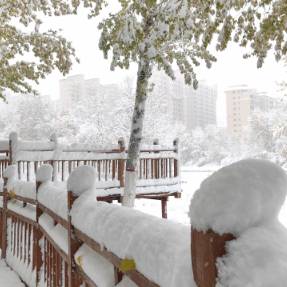 强冷空气已抵新疆！未来三天全疆雨雪、大风、降温齐上线