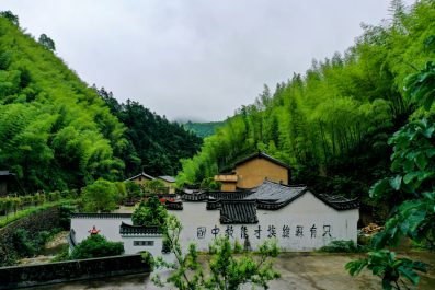 安岱后村 安岱后村