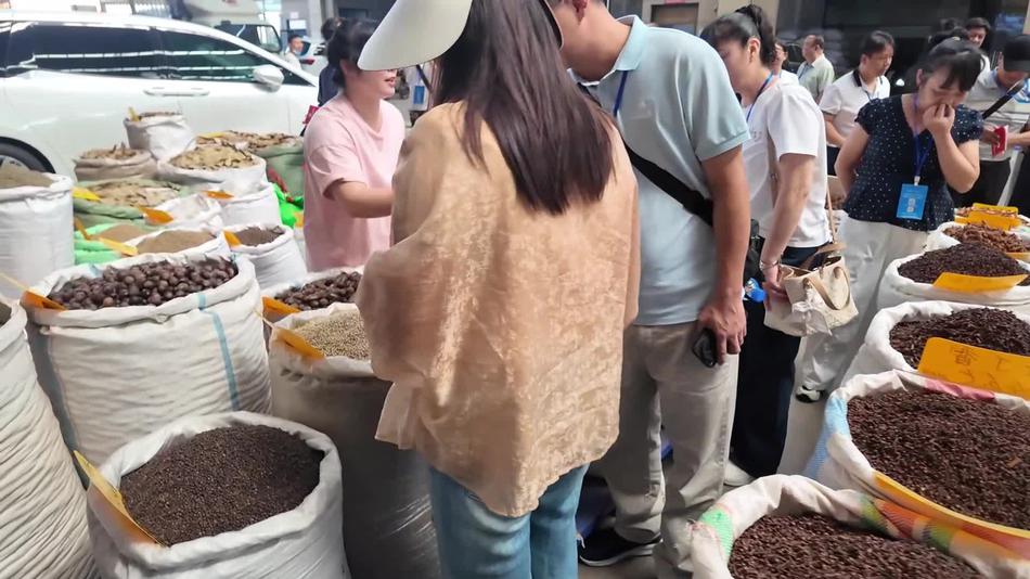 台商探访广西玉林香料 对白胡椒“一咬倾心”