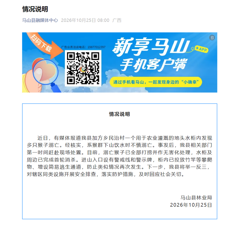 截图自“马山县融媒体中心”微信公众号