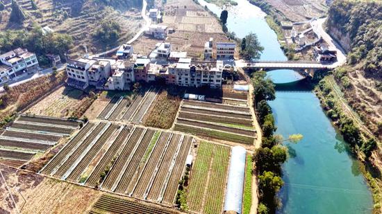 中坪镇洗坪村草莓种植基地航拍。熊立燕 摄