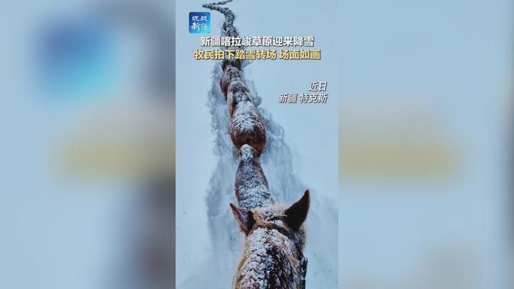 新疆喀拉峻草原迎来降雪 牧民拍下踏雪转场 场面如画