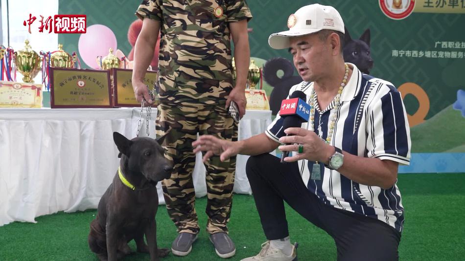 广西“山地犬”成宠物新选 从业者正制定“相犬指南”