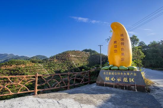 图为东兰县诚信特色水果产业核心示范区。东兰县融媒体中心供图