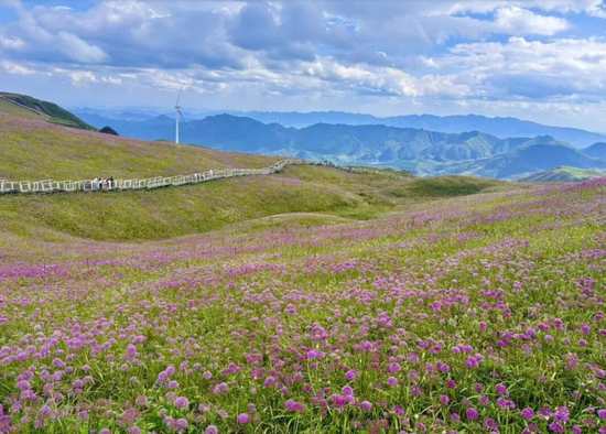 赫章韭菜坪景区