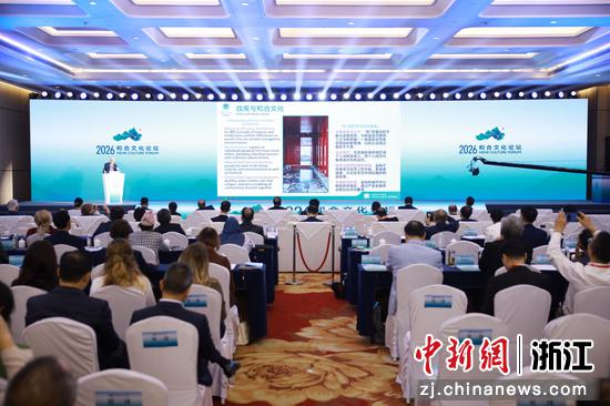 图为：10月27日，英国社会科学院院士、北京师范大学教授罗伯特·沃克发表主旨演讲。中新社记者 孙杨洋 摄