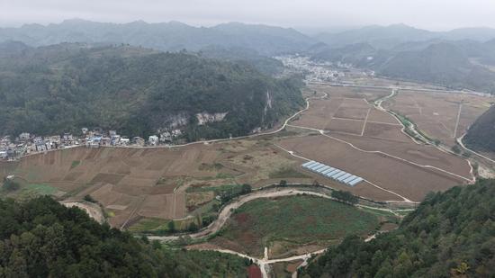 摆所镇秋冬种 摆所镇秋冬种