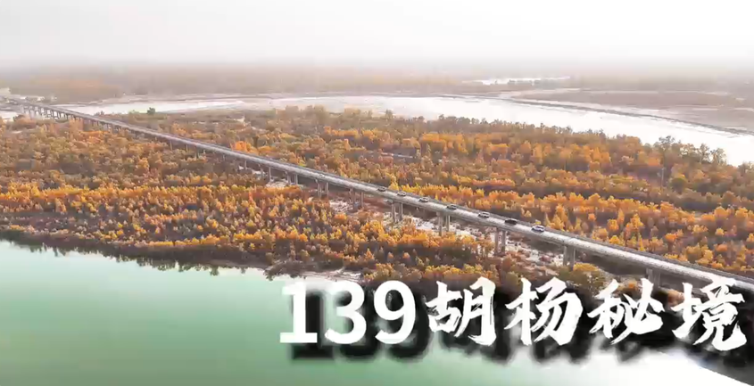 车行沙海胡杨间，赴和田秋日之约