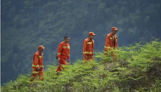 巡山护林 贺卫明 摄