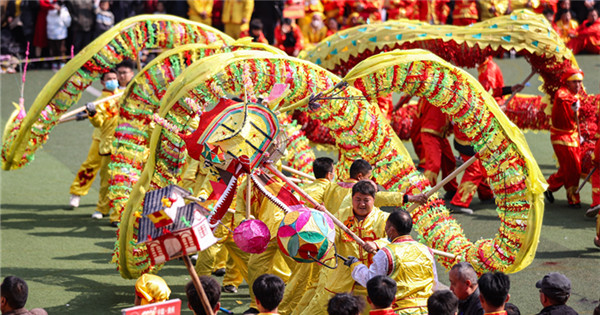 78 dragons celebrate Maolong Festival in Guizhou 