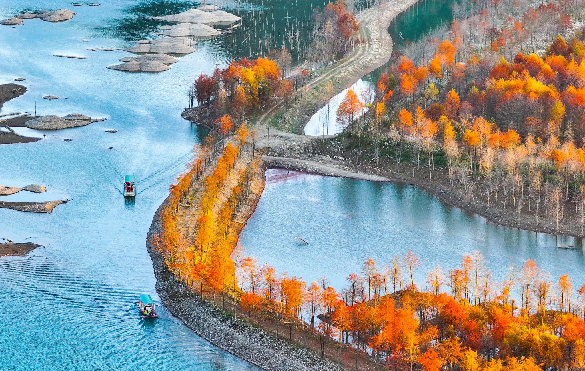 Winter turns wetland park into colorful wonderland in Anhui