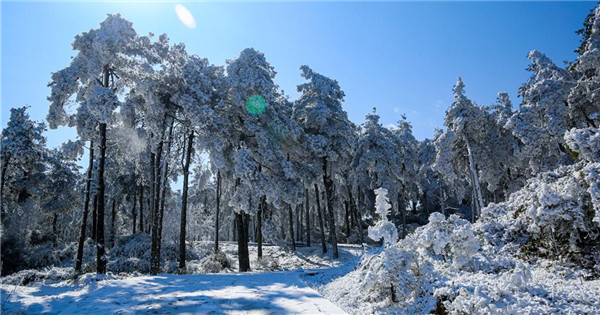 Rime creates fairyland in national forest park