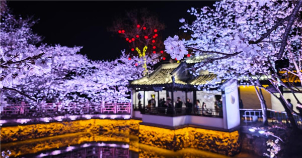Lights, cherry blossoms turn Wuxi into night wonderland