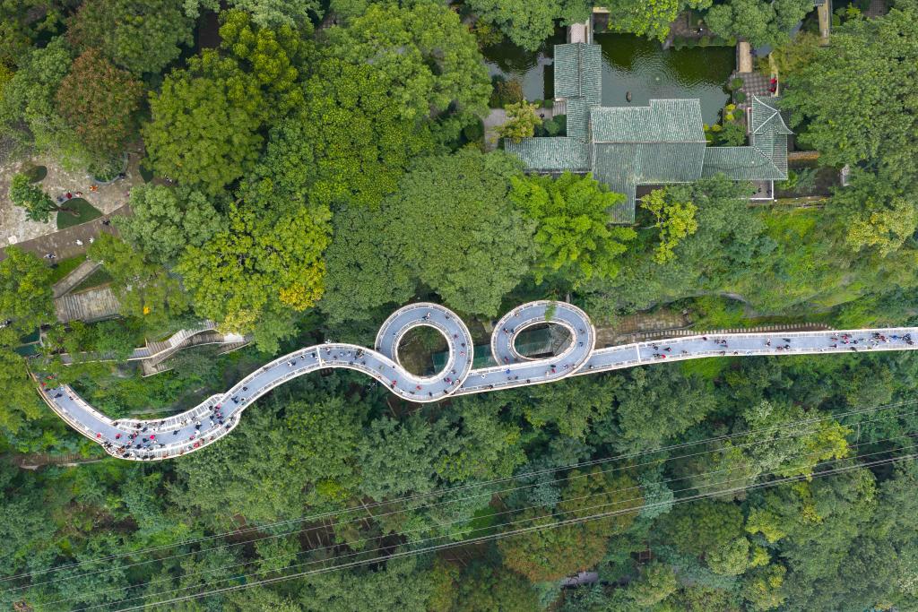 Eling Cliffside Footbridge opens to public in Chongqing