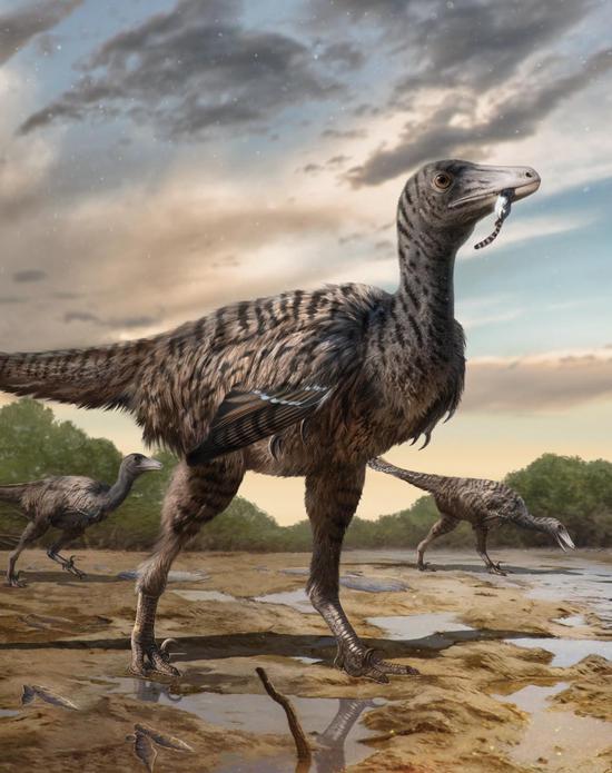 Trouver un fossile de dinosaure dans le Fujian change la donne
