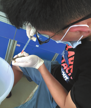 A member of the research team tests the technology on a shrimp in Zhanjiang, Guangdong province.(Photo provided to China Daily)