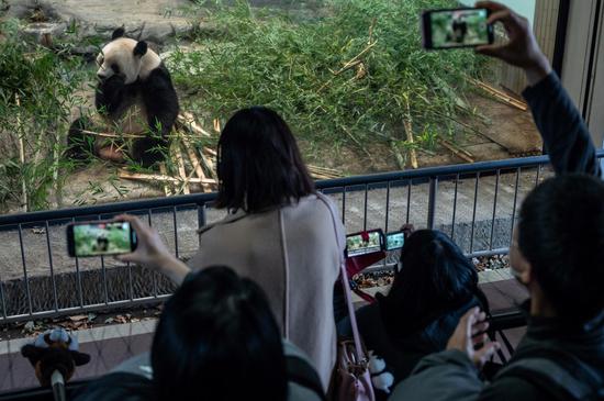 Japanese bid farewell to giant panda Xiang Xiang