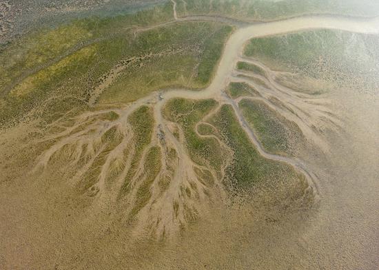 Tributary stream runs through riverbed of Poyang Lake as drought lingers