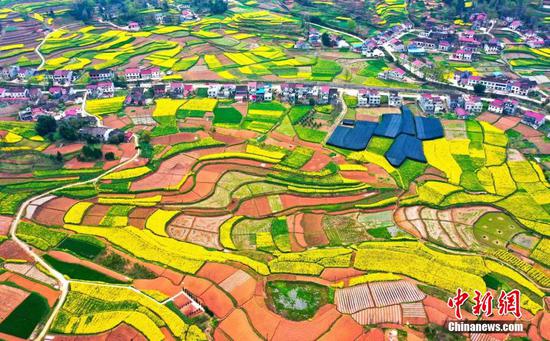 Spring colors create a natural palette in Shaanxi field