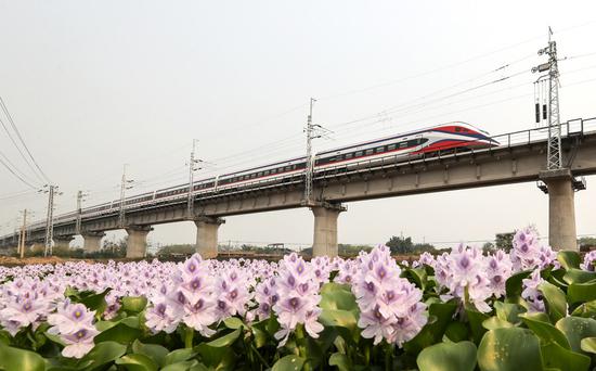 China-Laos Railway records 2,597 cross-border passenger trips in first week