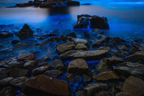 Fantasy scenery of fluorescent sea in Dalian