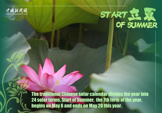 Culture Fact | Solar term: Start of Summer