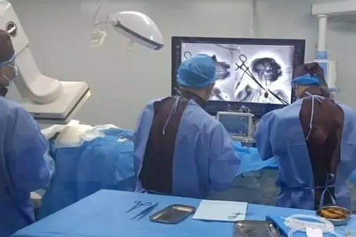 World's first interventional BCI experiment in non-human primates successfully carries out in Beijing