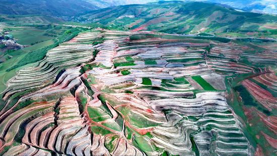 Giant maze-like terrace fields in Qinghai