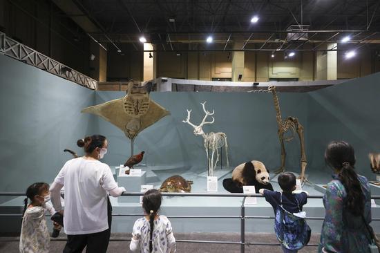 Themed exhibition celebrates inauguration of National Natural History Museum of China