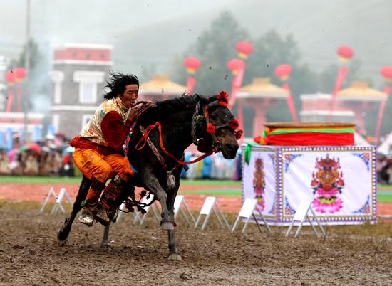 Horse racing festival held in Qinghai