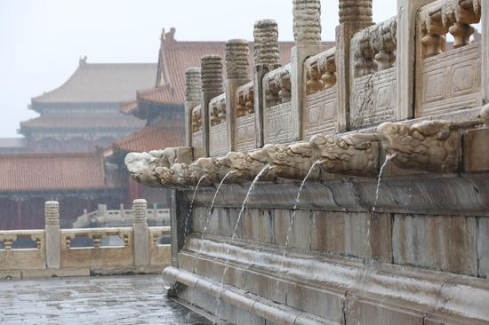 'Dragons' of ancient drainage system spout water in Palace Museum