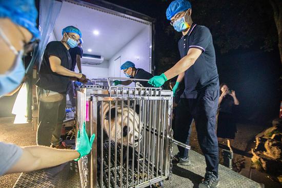 Two giant pandas move to new home in Hangzhou