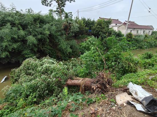 Aftermath of tornado disaster in Jiangsu