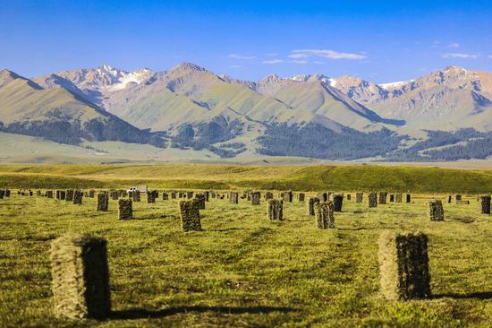 Harvest landscape on Nalati grassland in Xinjiang