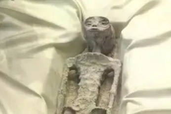 New evidence on 'alien life' presented in Mexico