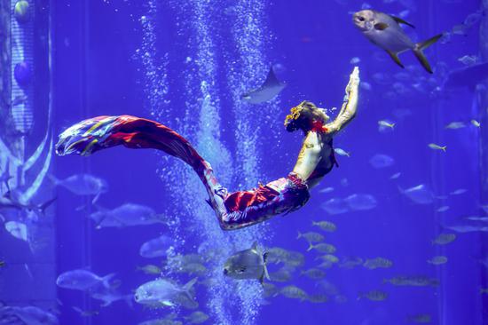 2023 Mermaid performance contest kicks off in Sanya