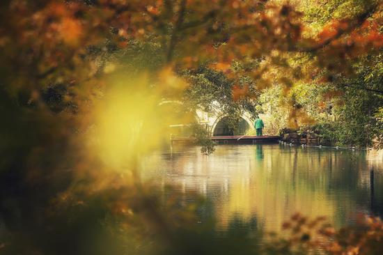 Autumn colors of Hangzhou, host city of 19th Asian Games