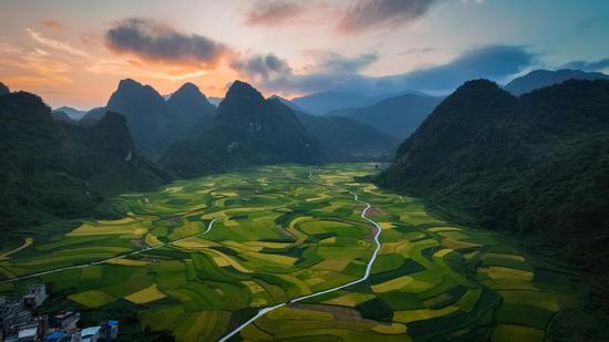 Harvested late rice field at sunset in Guangxi