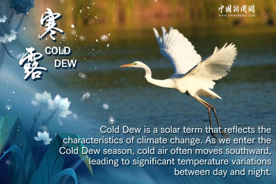 Culture Fact: Cold Dew