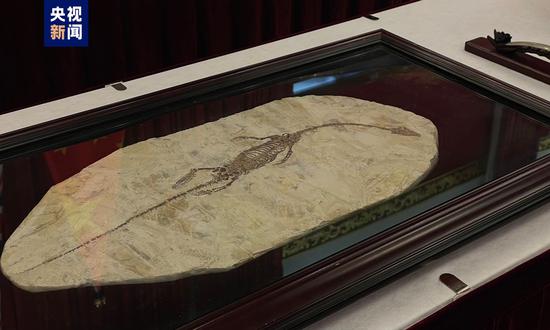 Australia returns three cultural relics to China ahead of PM Albanese’s visit
