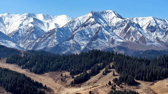 Snow-capped Qilian Mountain Range under blue sky