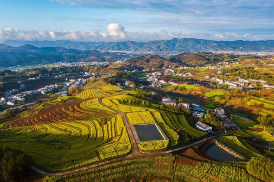 Autumn turns terraced fields into color palette in Hubei